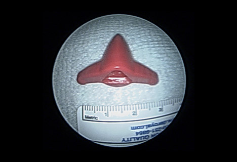 Toy Propeller with Ruler